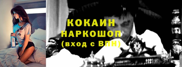 прущие крисы Балахна