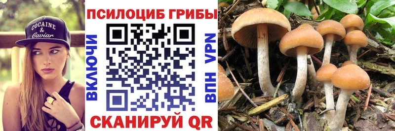 наркошоп  Колпашево  Галлюциногенные грибы ЛСД 