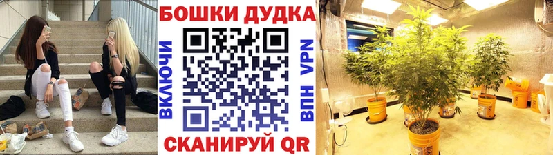 Конопля VHQ Колпашево